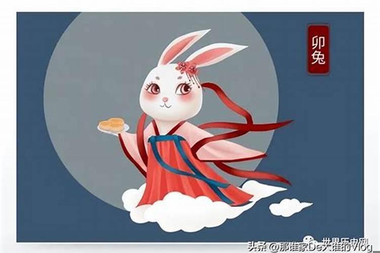 2025年属兔的命好吗