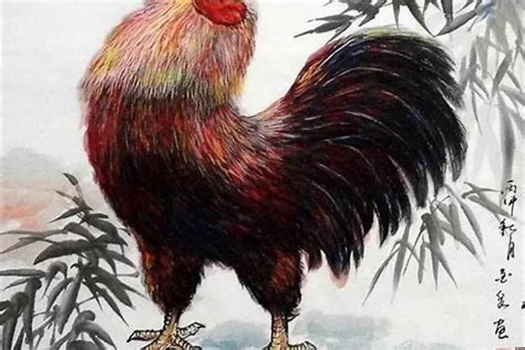 属鸡跟属什么的犯冲