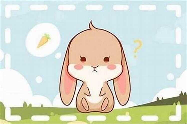 1987年属兔命运今年运势