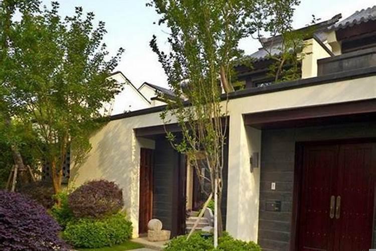 别墅种什么绿植风水好