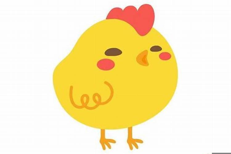 属鸡跟属什么的犯冲