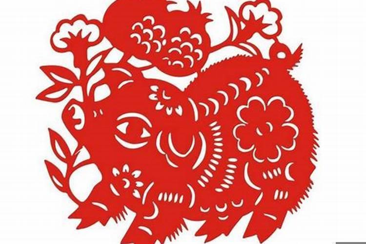 属猪人的晚年宿命