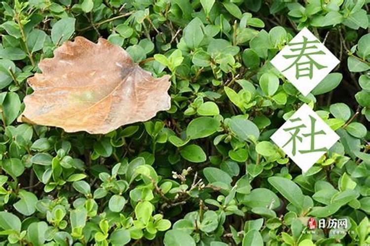 2021年上坟可以添土吗?