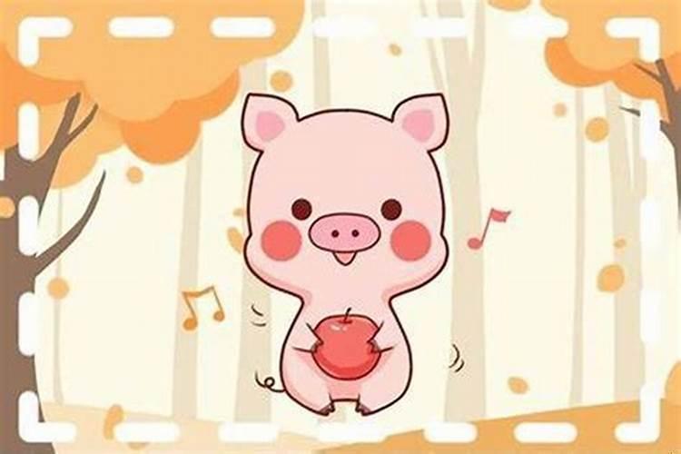 生肖猪出生时辰及运势