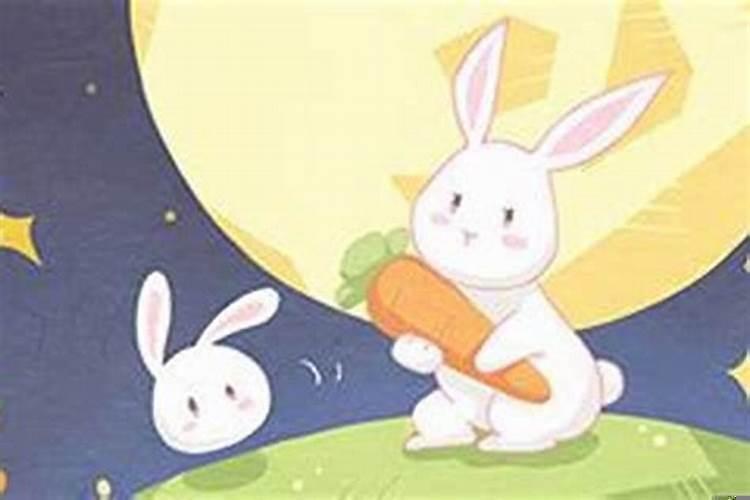 2025年属兔的命好吗