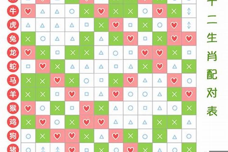 十二生肖cp配对