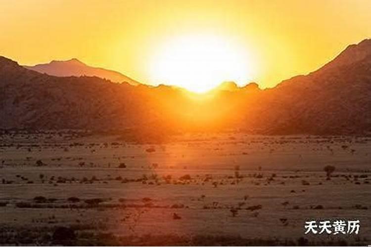 2020年阳历12.12阴历是几号