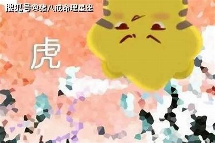 属虎的本命年好不好