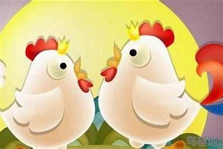 属鸡人40岁以后的命运