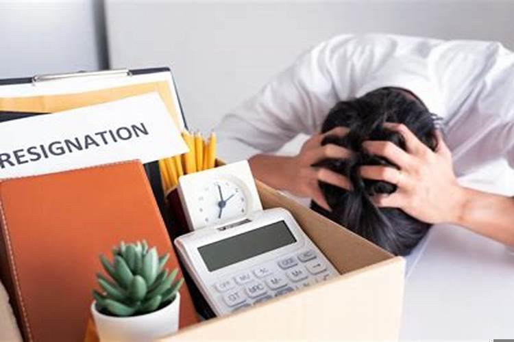 能力差的人适合做什么工作呢