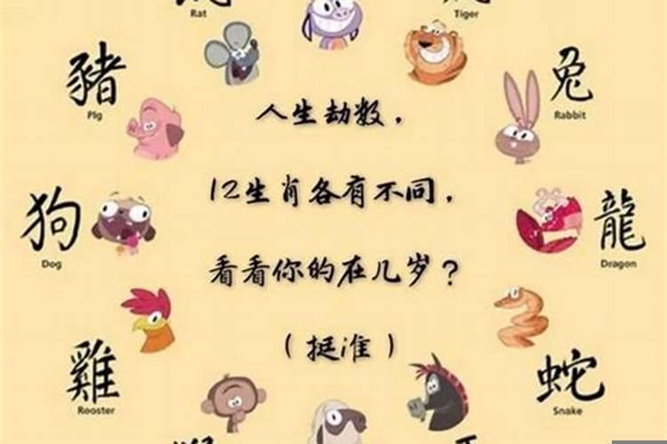 每个生肖的劫在多少岁