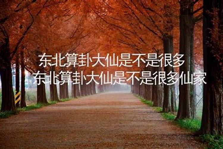 风水大仙会有报应吗