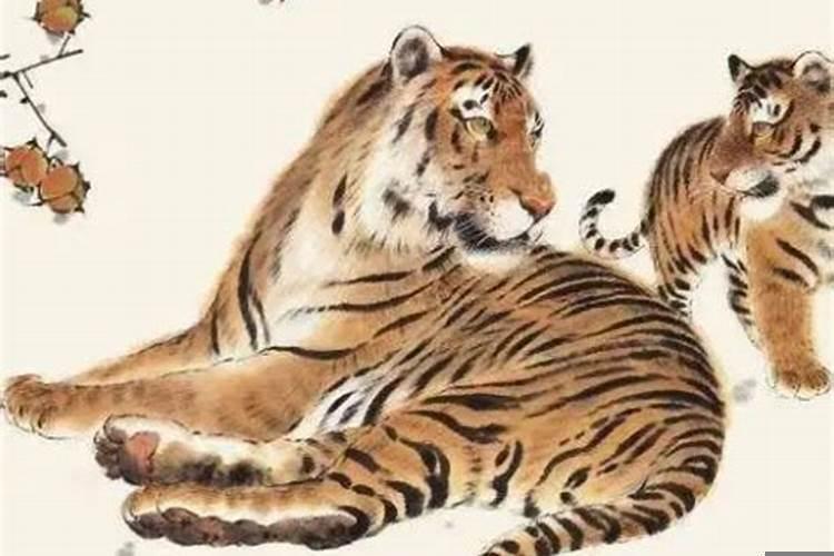 属蛇女的和属虎男的合不合