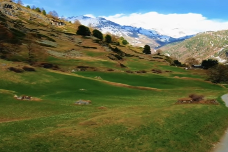 静心最高境界的网名