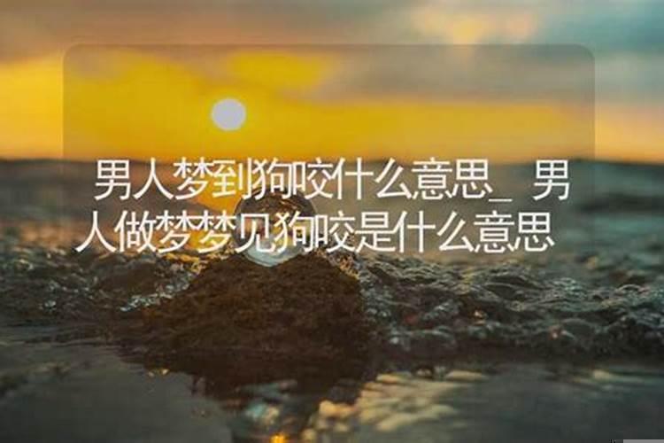 男人梦见狗咬别人是什么预兆