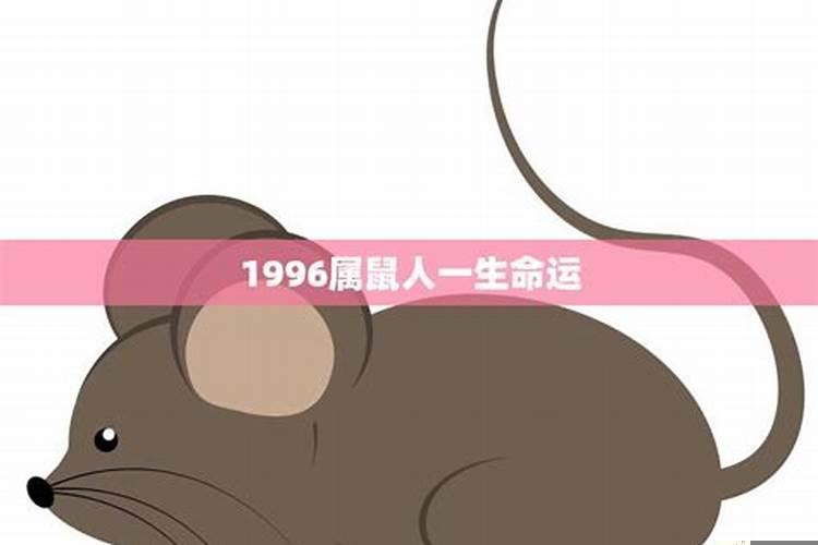我想知道1996年属鼠的是什么命