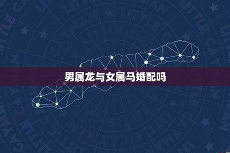 属龙的男与属马的女能婚配吗