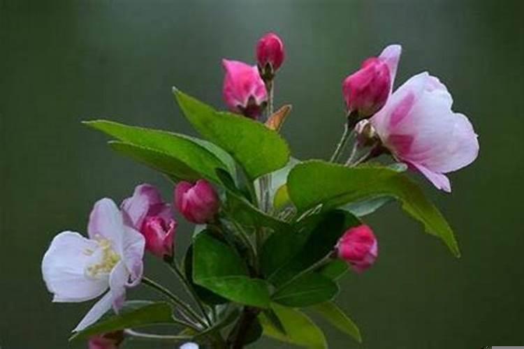 喜欢害人的生肖女