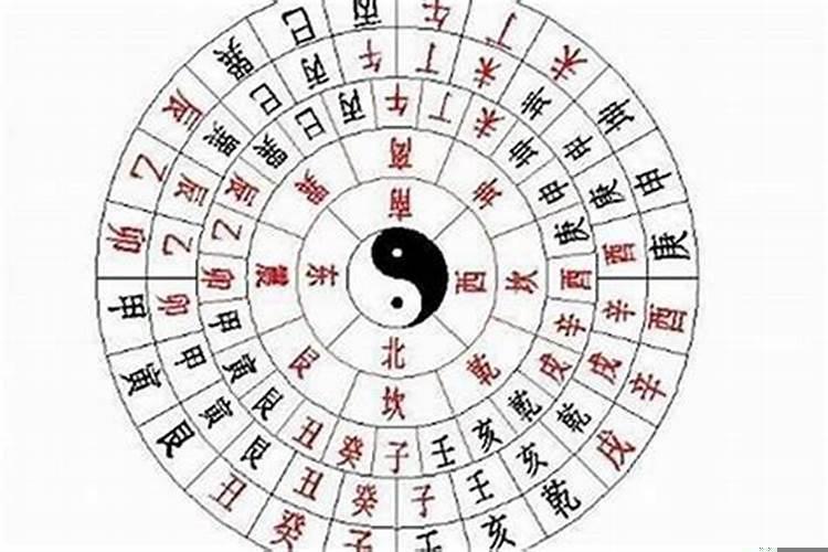 如何看日柱地支