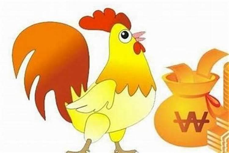 属鸡和属马的合不合?