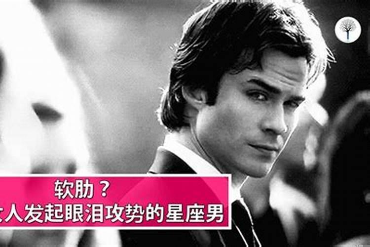 哪个星座男最受不了眼泪