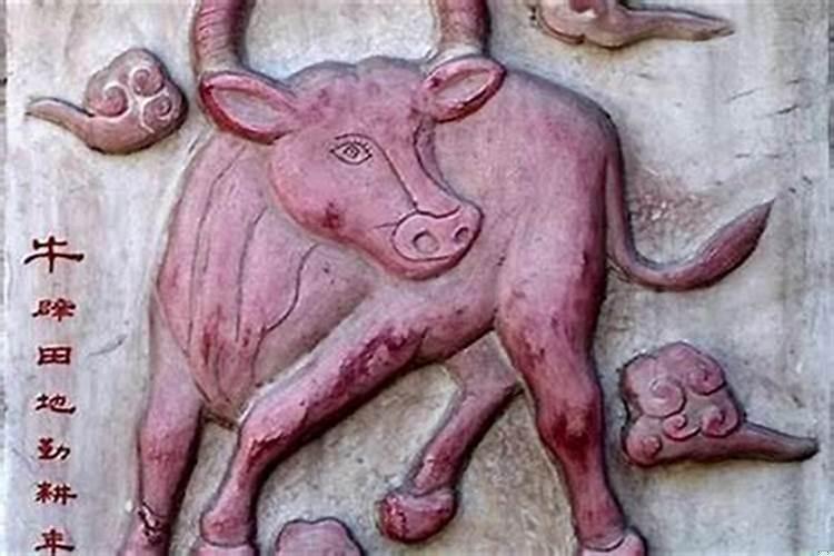 1985年属牛女的财运