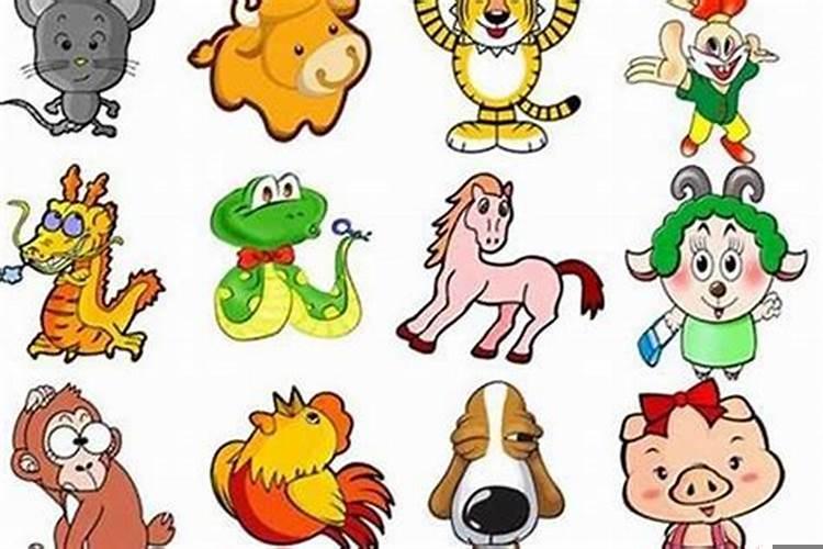 十二生肖适合做什么工作