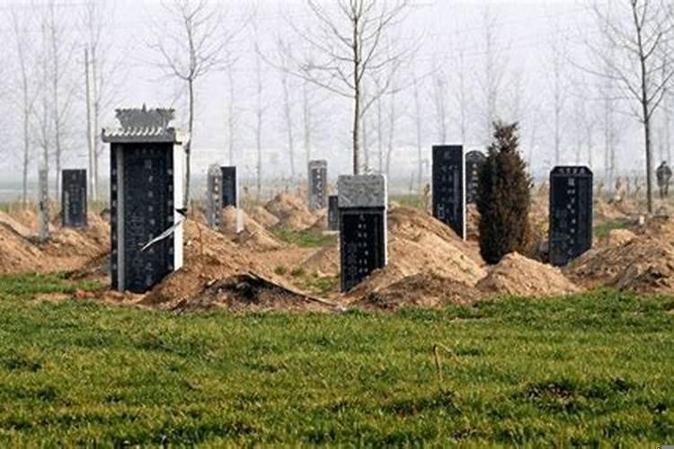 农村坟地占耕地法律规定