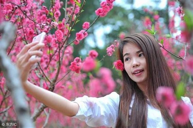 今年有桃花劫的3大生肖