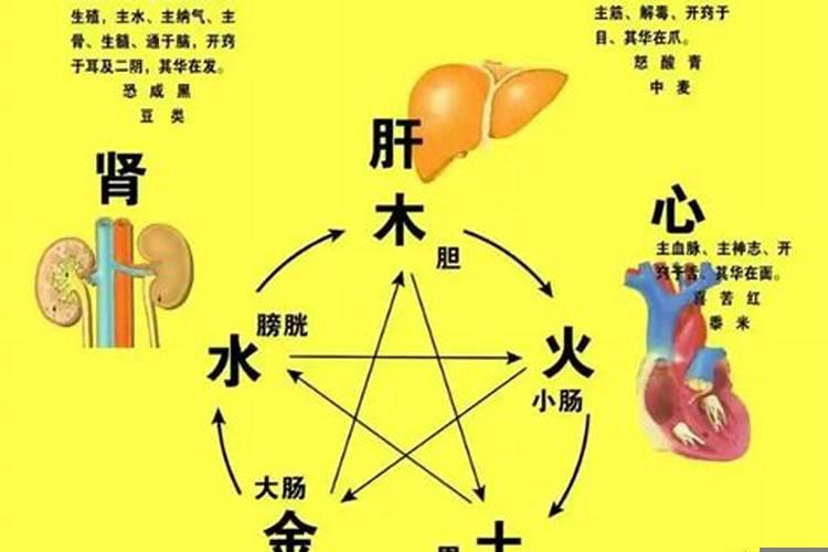 八字看身体健康疾病