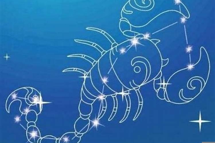 哪个星座男人最疼老婆