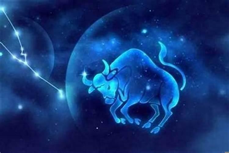 属虎的金牛座是什么命