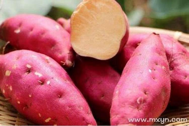 梦到了红薯什么意思