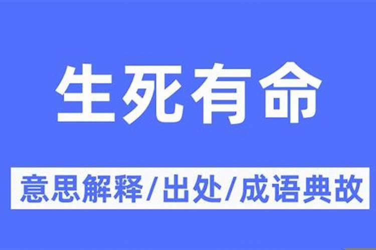 算命的解是什么意思