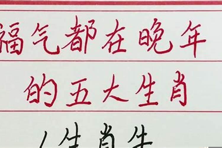 越到晚年越有福气的生肖是什么