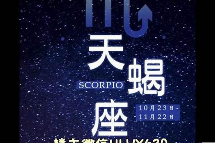 和天蝎男如何相处