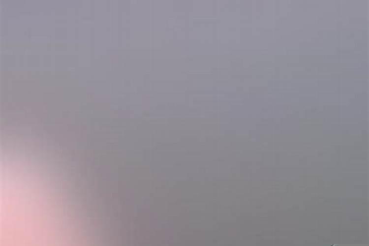 女人梦到蛇好害怕