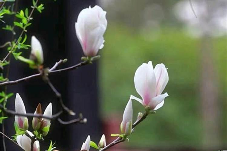 怎么样的女人最容易背叛婚姻?