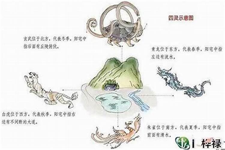 风水中四象代表什么