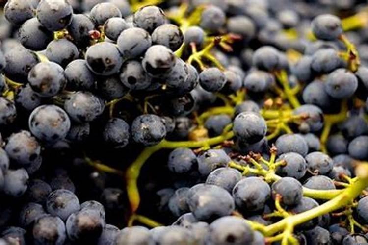 算命的看不到我的姻缘