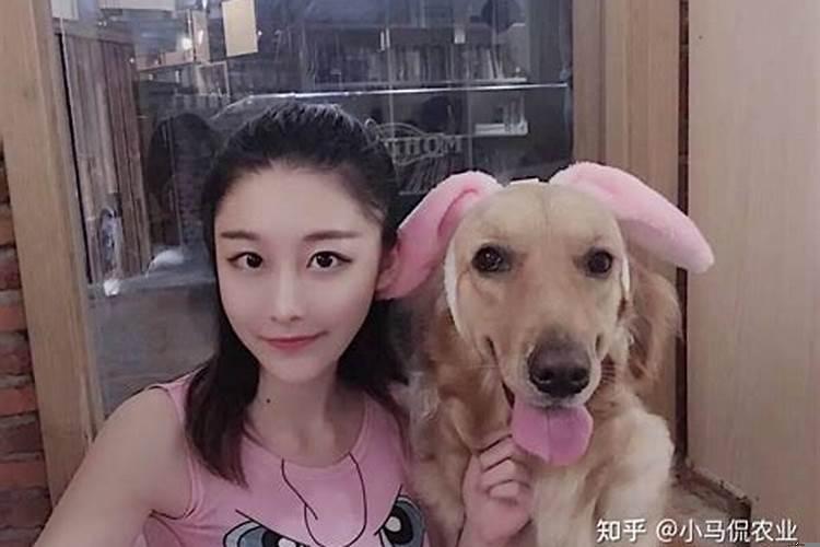 属狗的今年干什么生意赚钱