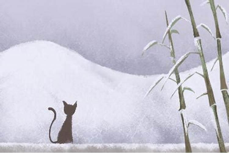 走枭神运怎么化解