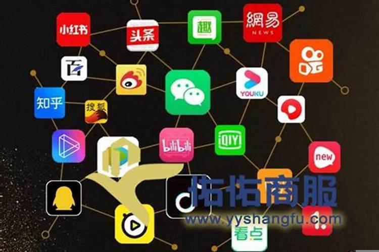 铁树放在哪里风水最好铁