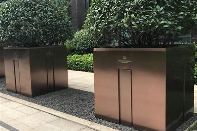 金属花盆能种什么