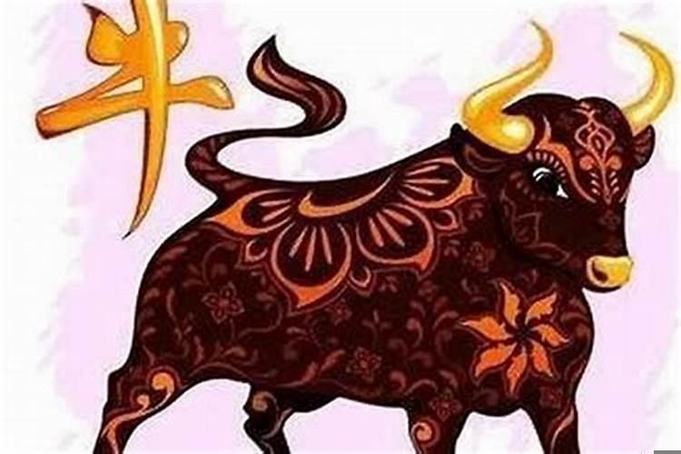 85年属牛的最佳配偶男与90马