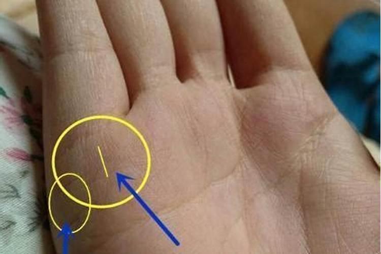 怎么看手相有几个子女