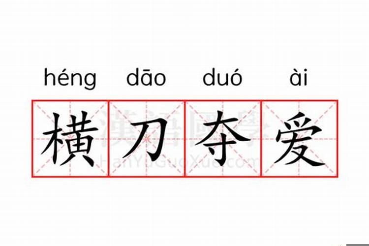 横刀夺爱的小人