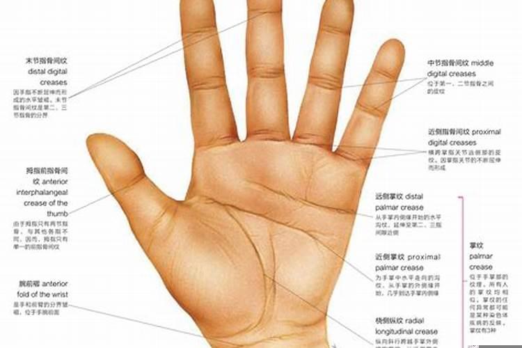 手掌心有坑手相