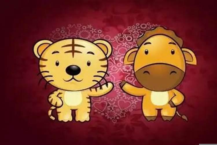 属相龙虎可以结姻缘吗?