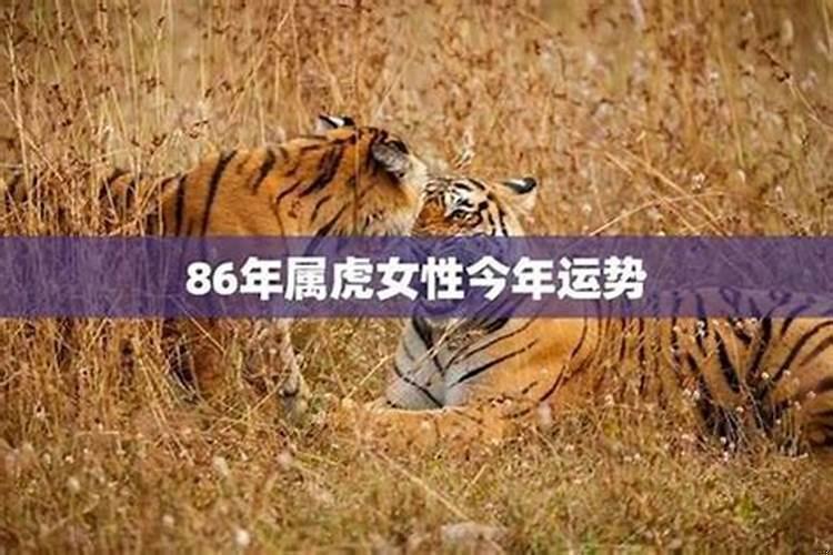 属虎的女人2022年运势